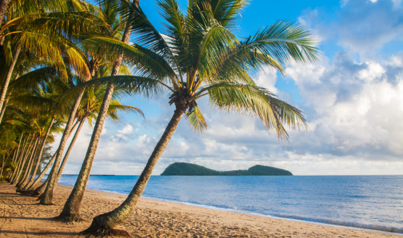Tropical beach with palm trees