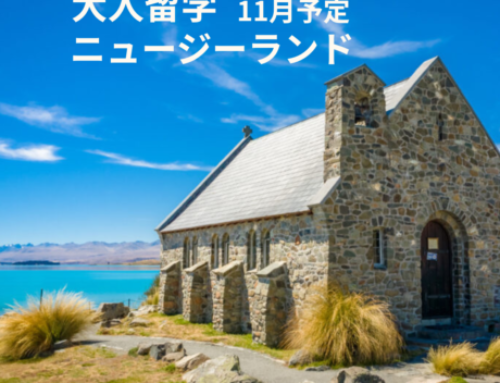 11月にNZへ大人留学計画中！🇳🇿